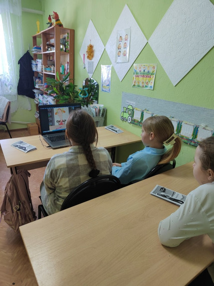 Цикл мероприятий по половому воспитанию для девочек-подростков .